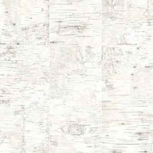 Wallpaper Border Birch Champlain Wood Grid
